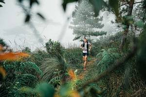 BIB: 
                            <button type="button" onclick="openModal(25258245)" class="btn btn-primary btn-sm float-right btn-popup" data-toggle="modal" data-target=".modal-high-quality">
                        <i class="fas fa-shopping-cart"></i> Add to Cart
                    </button>
                                            <button type="button" onclick="isThisMe(25258245, true)" class="btn btn-success btn-sm float-right btn-popup btn-isme hidden" data-toggle="tooltip" data-placement="bottom" title="นี่คือรูปของคุณใช่ไหม คลิกที่นี่เพื่อเอาเข้าอัลบั้ม">
                        <i class="fas fa-plus"></i> Add to album
                    </button>
                    <button type="button" onclick="isThisMe(25258245, false)" class="btn btn-warning btn-sm float-right btn-popup btn-isnotme hidden">
                        <i class="fas fa-ban"></i> Remove from album
                    </button>